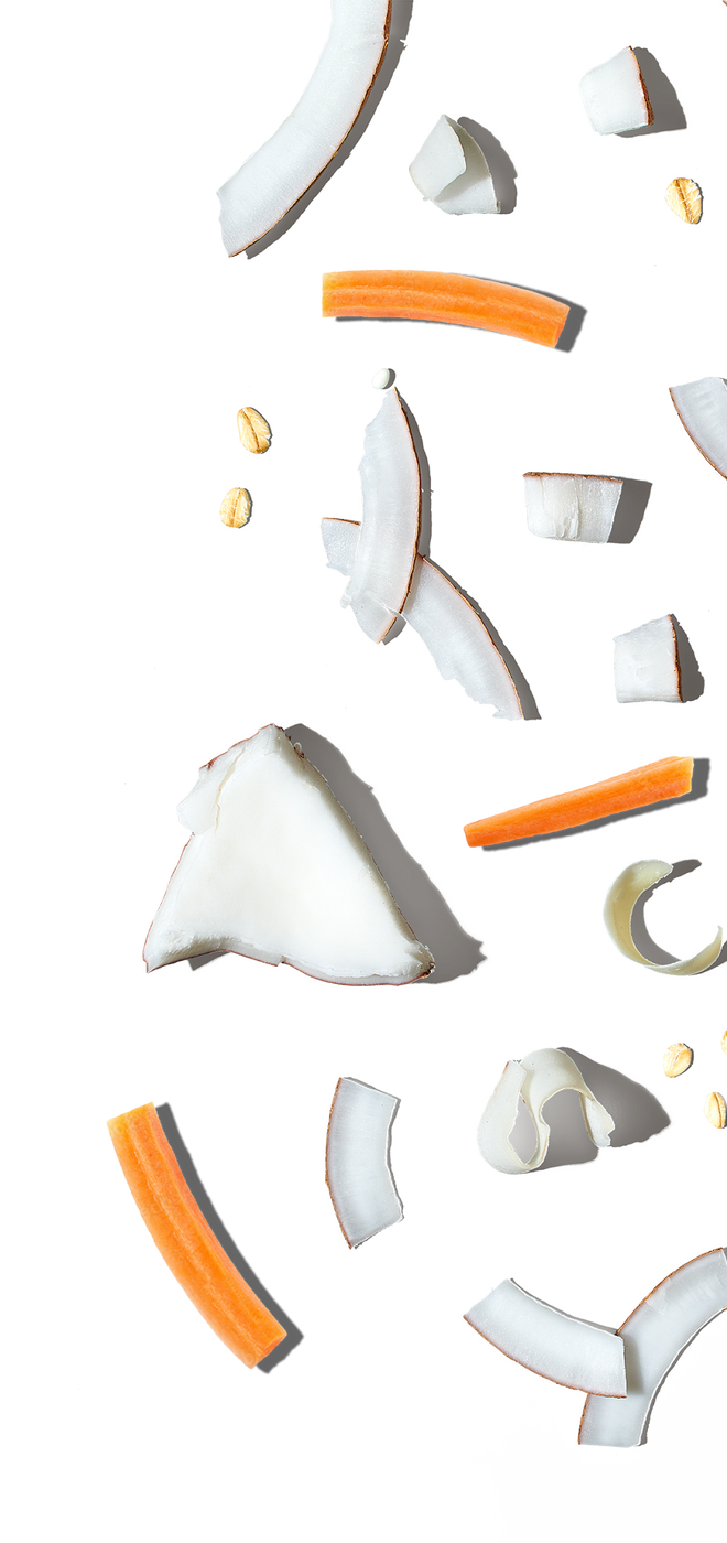 Coconut pieces with orange and yellow specks on a white background