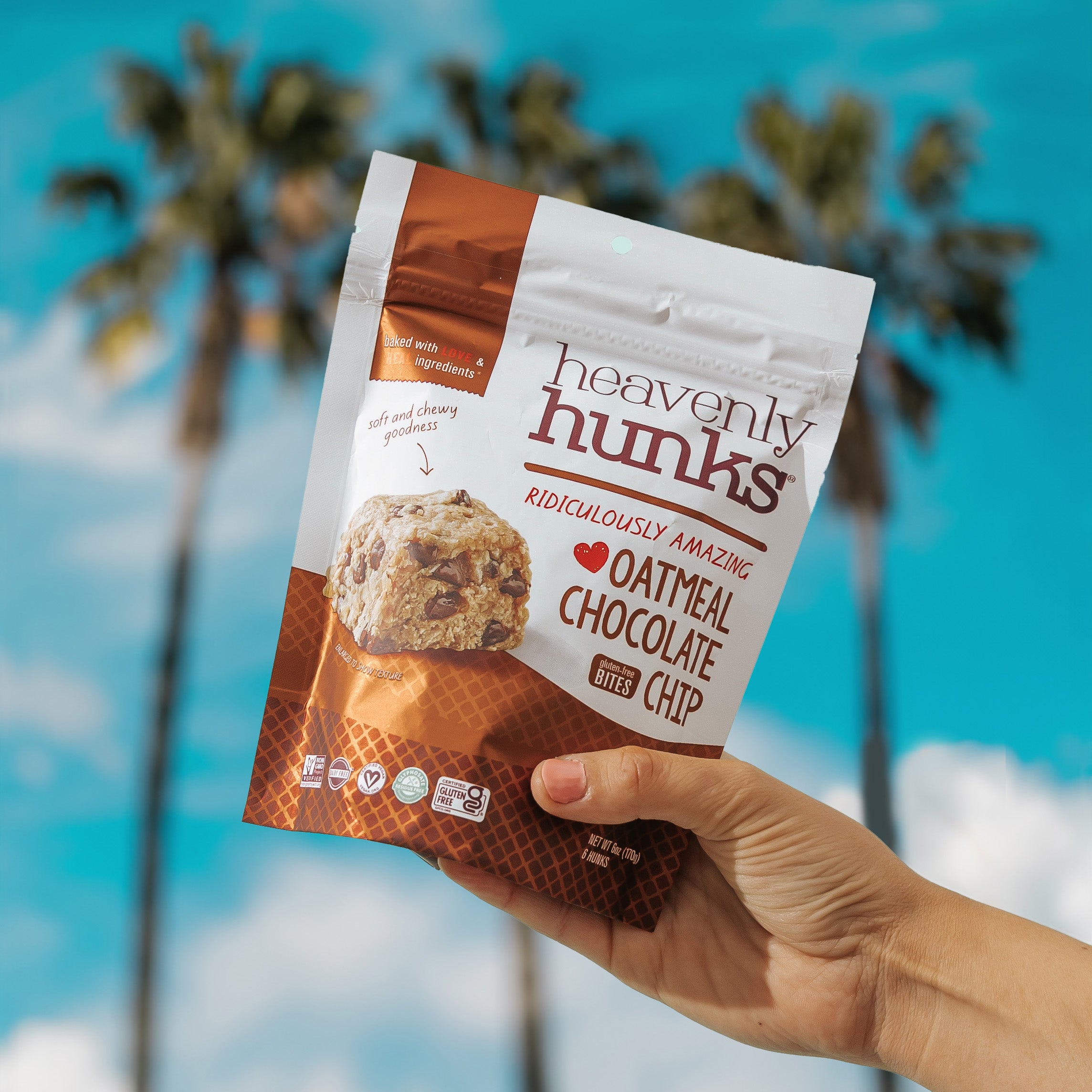 Oatmeal Chocolate Chip – Heavenly Hunks